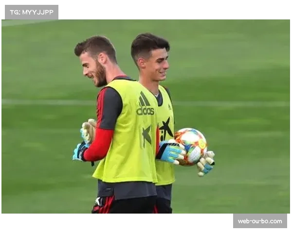 卡拉巴赫扬科维奇失点 关键机会把握能力决定命运 卡拉巴赫扬科维奇失点 关键机会把握能力决定命运